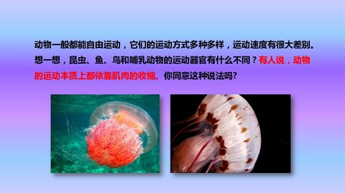 人教八年級上冊生物課件第五單元第二章第一節(jié) 動物的運動課件 24張ppt